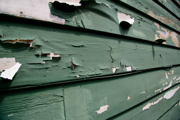 Best Historical Building Siding Restoration  in Fox Point, WI